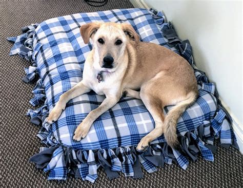 make your own dog bed.